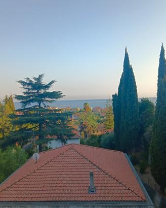 Monolocale mansardato