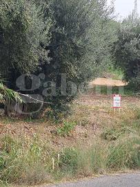 Terreno Residenziale Amantea [Cod. rif 3184786VRG]