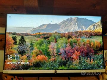 Computer fisso Acer con schermo HP