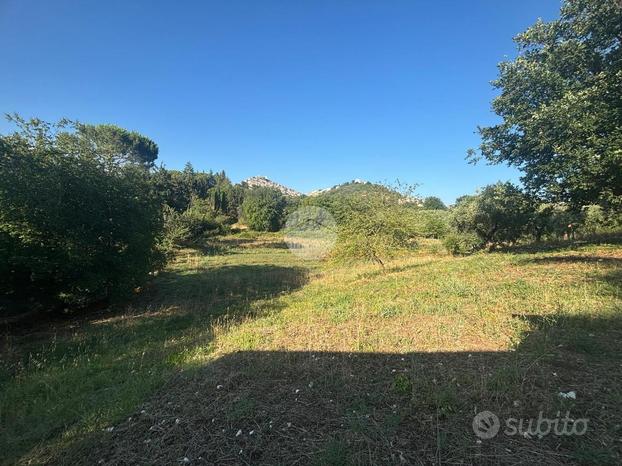 TER. AGRICOLO A GUIDONIA MONTECELIO