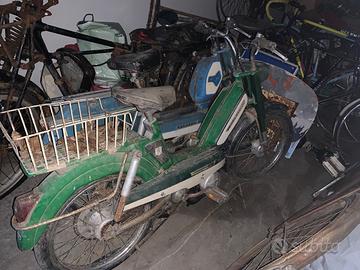 Motorino PEUGEOT 103- 104 TEL 3387648444