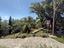 Immagine 26