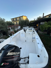 Barca 5 metri motore