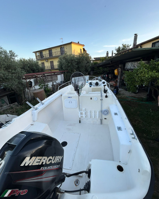 Barca 5 metri motore