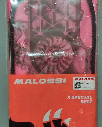 malossi special belt piaggio ciao correttori  100