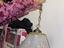 Immagine 3