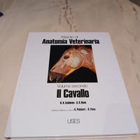 ATLANTE DI ANATOMIA DEL CAVALLO