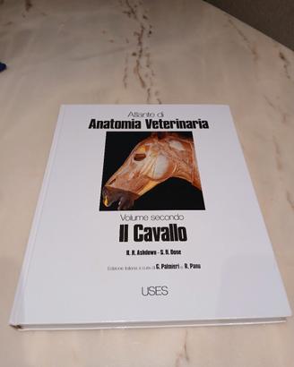 ATLANTE DI ANATOMIA DEL CAVALLO