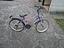 Immagine 6