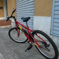 Bicicletta FAEMA 