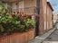 Immagine 6