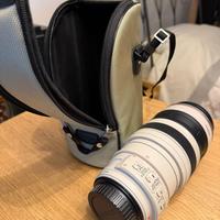 Canon EF 28-300mm F/3.5-5.6 L Is USM Obiettivo