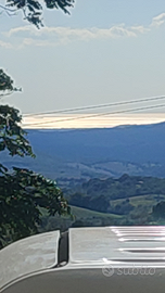 Ampio terreno con 100 piante di olivi edificabiei