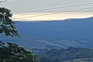 Ampio terreno con 100 piante di olivi edificabiei