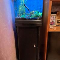 Acquario 26 litri