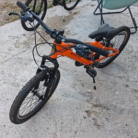 Bicicletta 