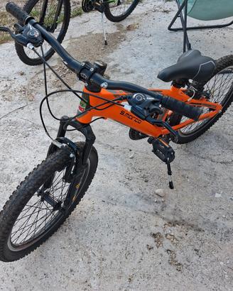 Bicicletta 