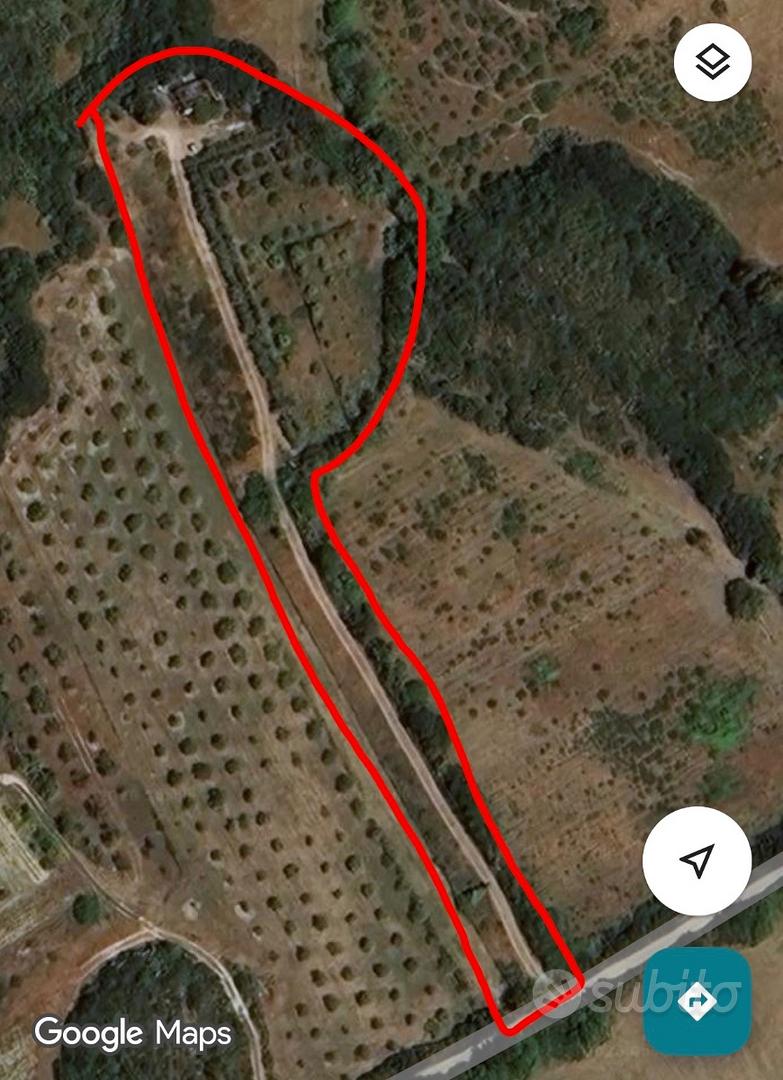 Terreno agricolo con uliveto,frutteto,attrezzatura - Vista 6