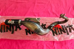 Marmitta Ninja dritta piaggio 