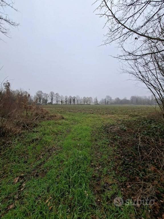 Immobile in asta di 14001 m² a Cavezzo - Vista 3