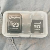 adattatore micro SD doppio 