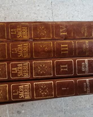 Sacra Bibbia illustrata Gustavo Dore'