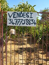 Terreno agricolo