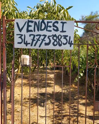 Terreno agricolo