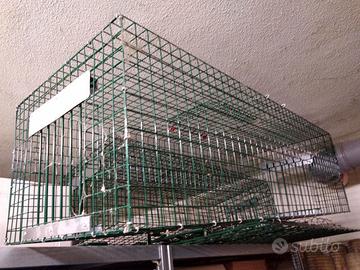 GABBIE ANIMALI MEDIA TAGLIA NUTRIE