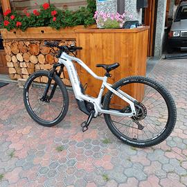 E bike haibike