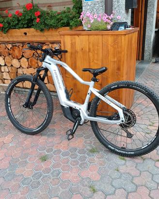 E bike haibike