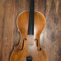 Violoncello da studio 4/4 di liuteria italiana