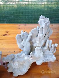 Coralli fossili per acquario marino