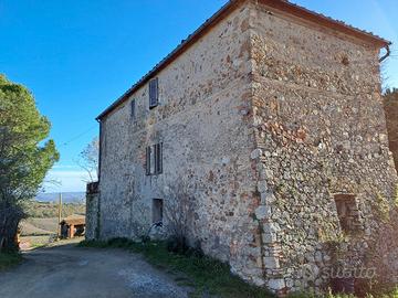 Azienda agricola 250 ha Volterra Pisa