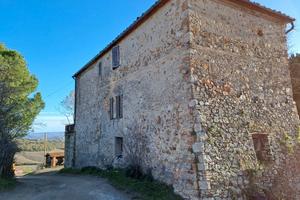 Azienda agricola 250 ha Volterra Pisa