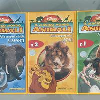 Videocassette VHS Orsi, Leoni ed Elefanti