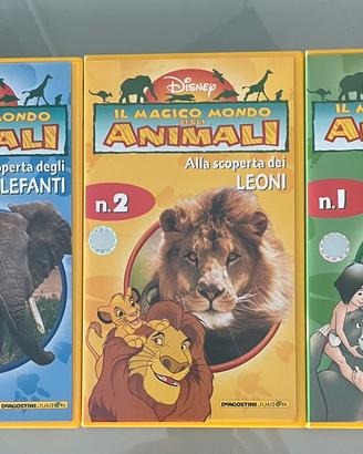 Videocassette VHS Orsi, Leoni ed Elefanti