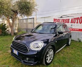 MINI Mini Cooper D COUNTRYMAN JOHN COOPER WORKS