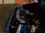 Immagine 6