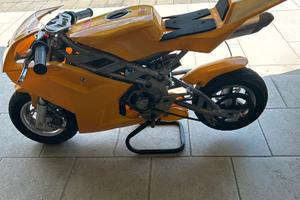 MINIMOTO CINESE RACING 39 cc