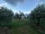 Immagine 14