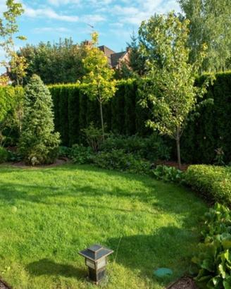 Giardiniere per manutenzione verde