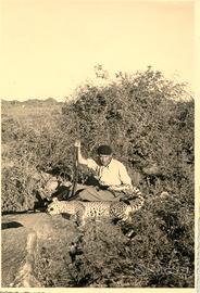 Foto vintage caccia libia