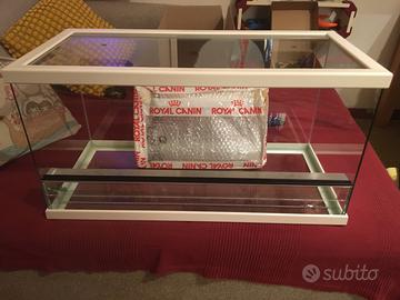 Terrario Creas giungla 3