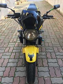 Hornet 600 anno 2001