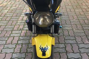 Hornet 600 anno 2001