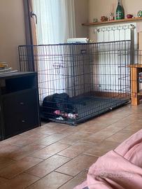 Kennel taglia grande