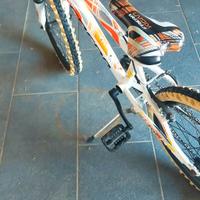 MTB bici per ragazzo