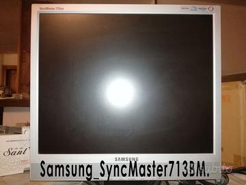 *Monitor LCD Samsung SyncMaster713BM - 17 Pollici*