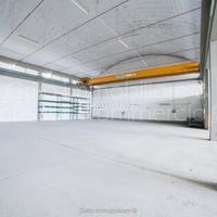 Rif.03646| capannone grosseto